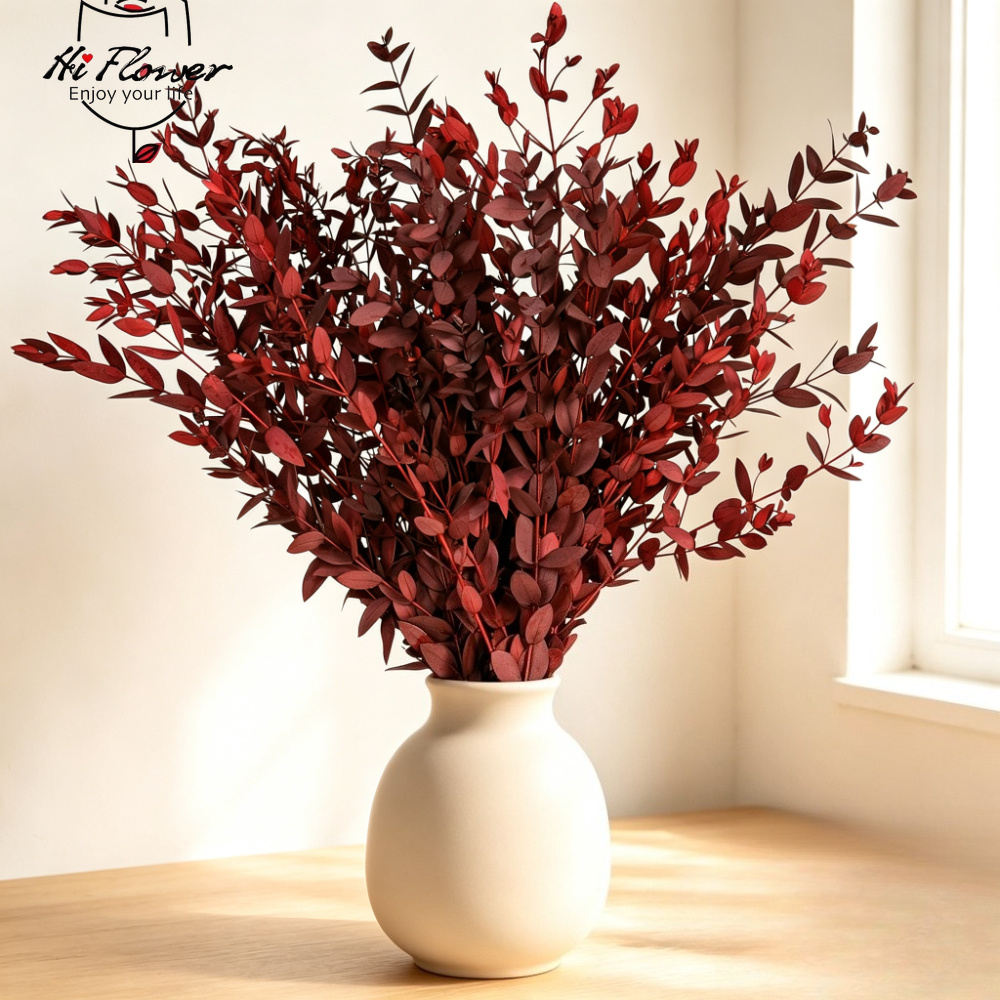 Eucalyptus Preserved - Bunga Kering Alami Buket Eucalyptus Pengisi