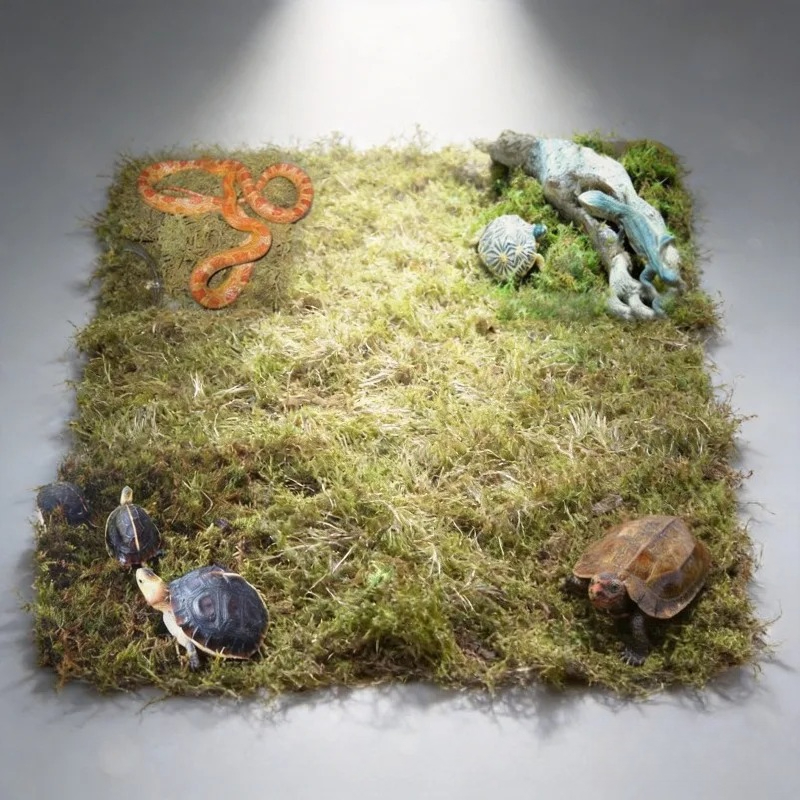Preserved Moss Sheet - Lumut Kering Alami untuk Alas Terarium