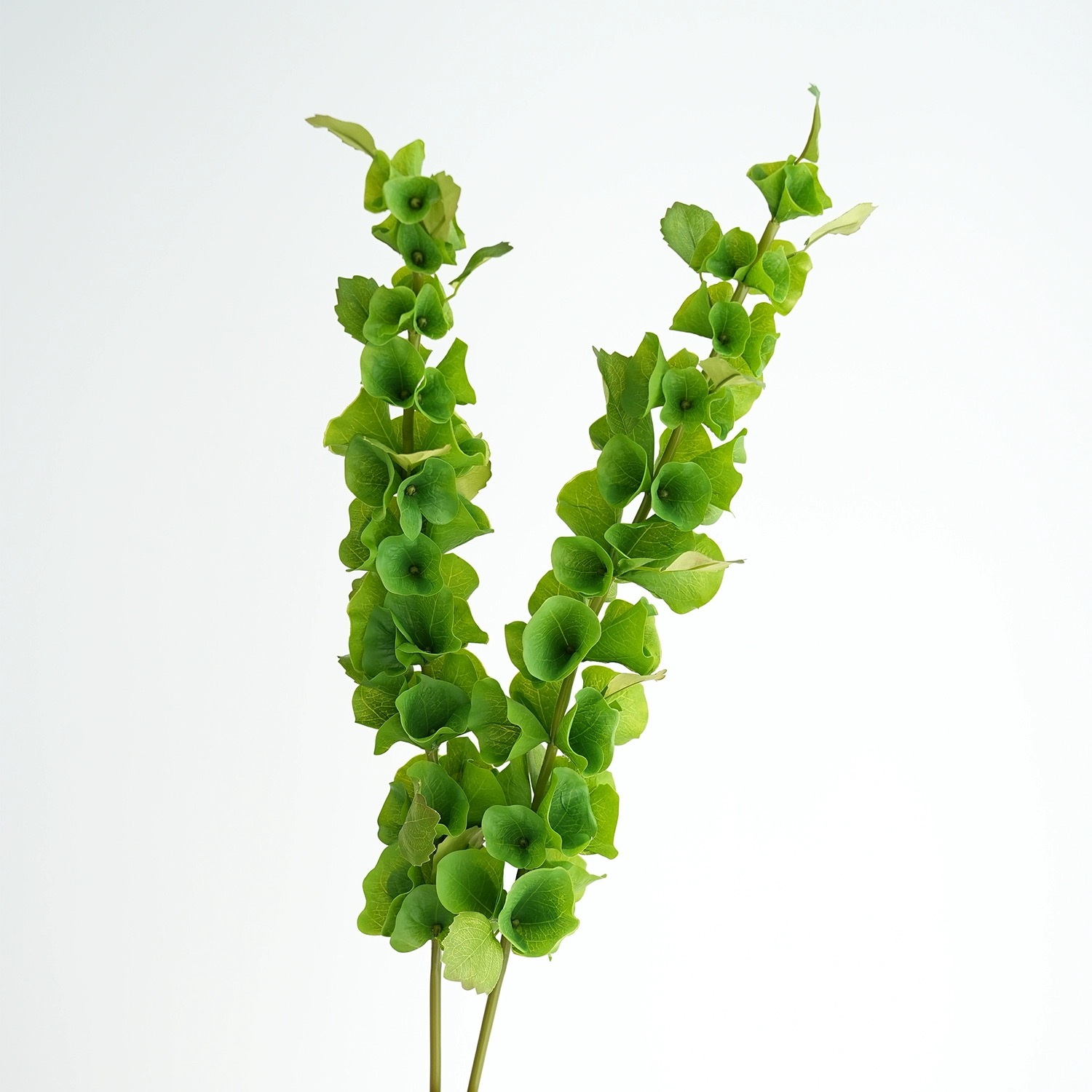 Florist Supply Bulk - 2 Buah Tanaman Hias Plastik Batang