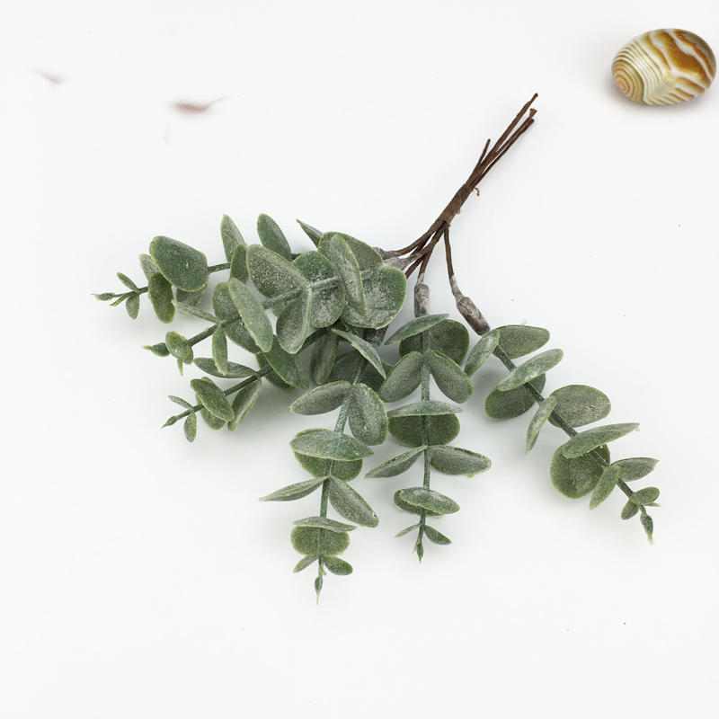 Tanaman Plastik Buatan Berbent - Eucalyptus Preserved ulasan dan harga