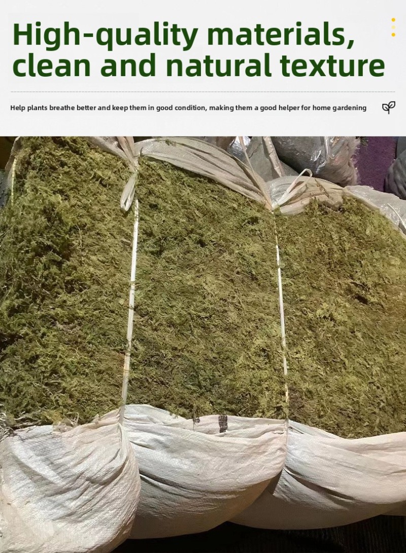 Lumut Kering Alami untuk Alas  - Preserved Moss Sheet ulasan dan harga